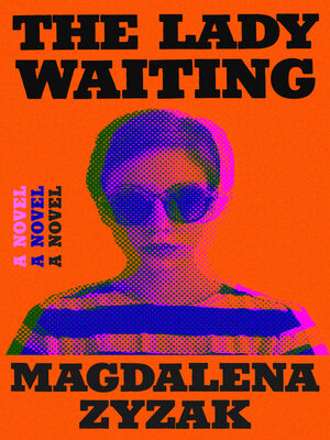 cover image of The Lady Waiting